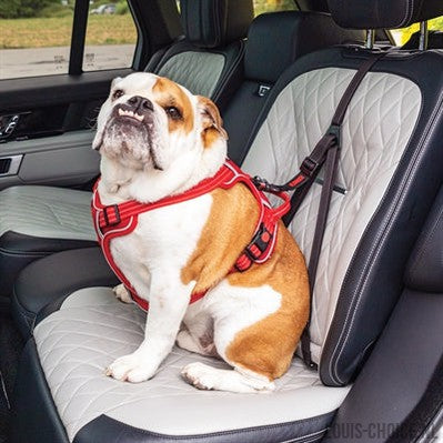 Kong Autogordel Hond Ultimate Safety-KONG-Louis Choice