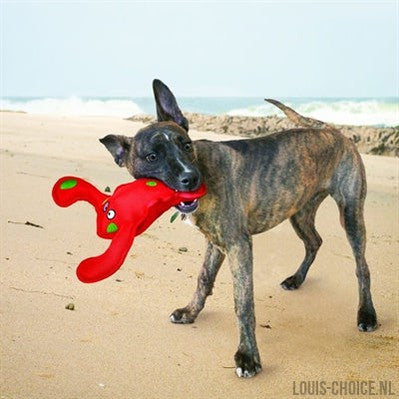 Kong Belly Flops Kreeft-KONG-Louis Choice