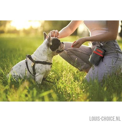 Kong Beloningszakje-KONG-Louis Choice