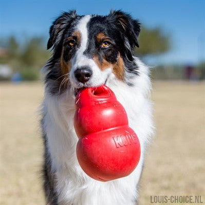 Kong Bounzer Rood-KONG-Louis Choice