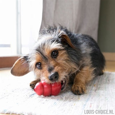 Kong Classic Rood-KONG-Louis Choice