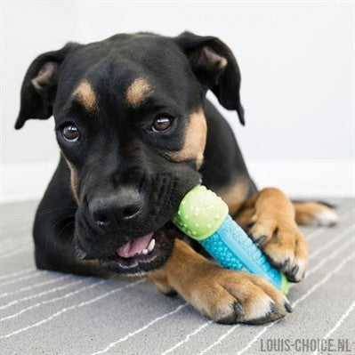 Kong Corestrength Bone-KONG-Louis Choice