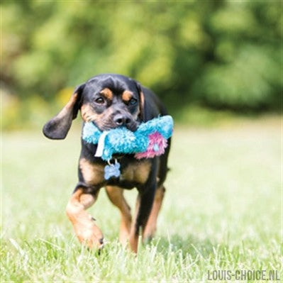 Kong Cozie Brights Assorti-KONG-Louis Choice
