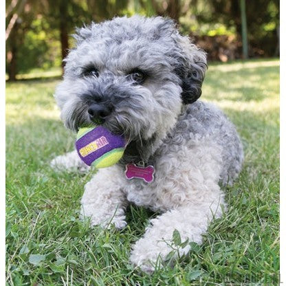 Kong Crunchair Tennisballen-KONG-Louis Choice