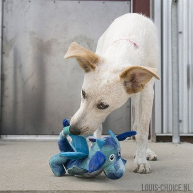 Kong Dragon Knots Assorti-KONG-Louis Choice
