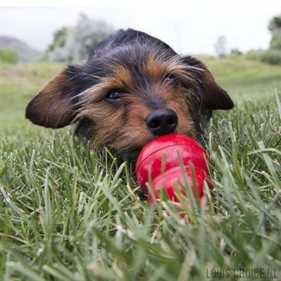 Kong Easy Treat Peanut Butter-KONG-Louis Choice