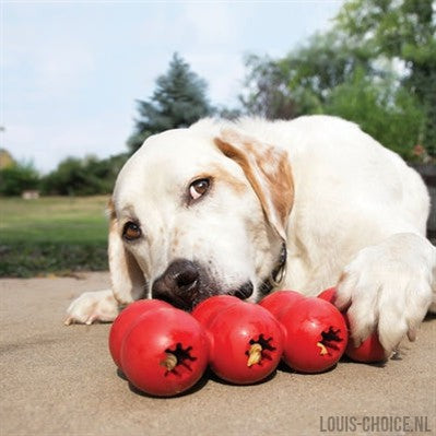 Kong Goodie Ribbon-KONG-Louis Choice