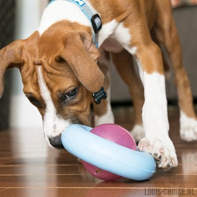 Kong Gyro Puppy Voerbal Assorti-KONG-Louis Choice