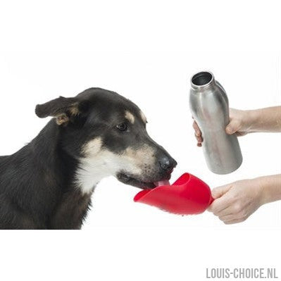 Kong H2O Drinkfles Rvs Oranje-KONG-Louis Choice