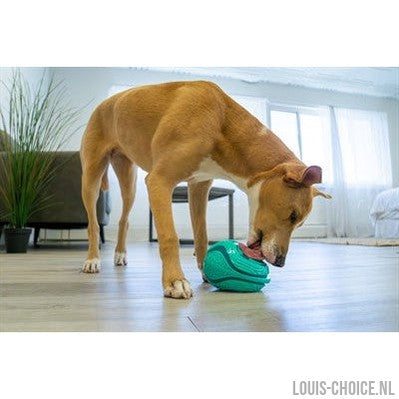 Kong Licks Rewards Groen-KONG-Louis Choice