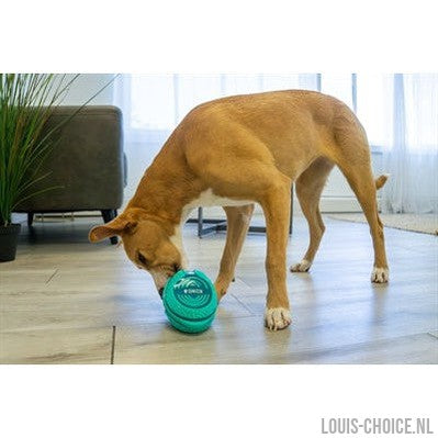 Kong Licks Rewards Groen-KONG-Louis Choice