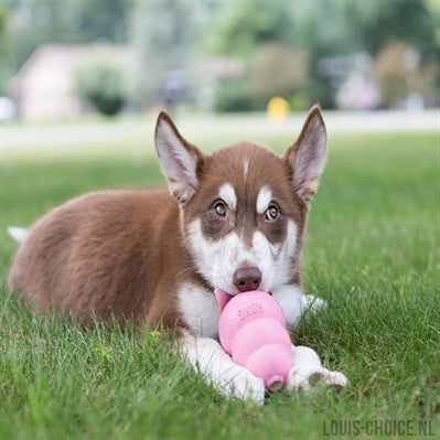 Kong Puppy Roze Of Blauw Assorti-KONG-Louis Choice