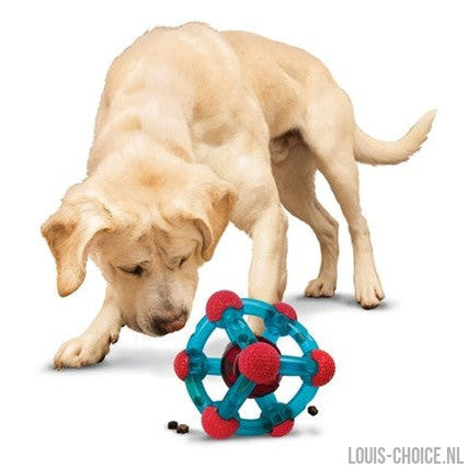 Kong Rewards Tinker-KONG-Louis Choice