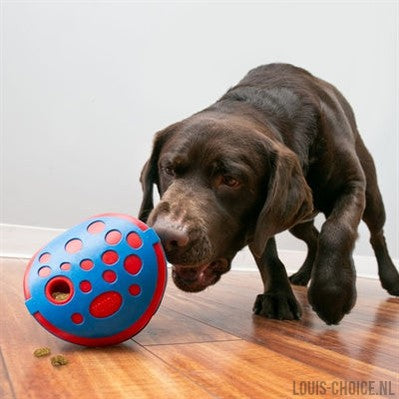 Kong Rewards Wally Blauw / Rood-KONG-Louis Choice