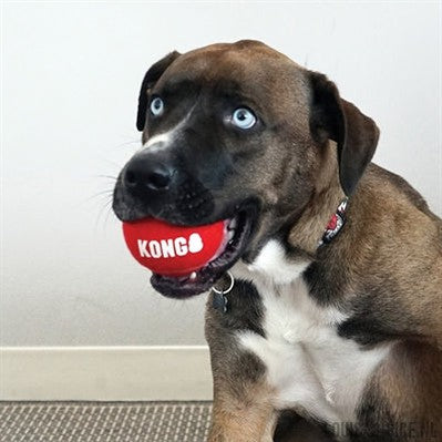 Kong Signature Sport Balls Assorti-KONG-Louis Choice