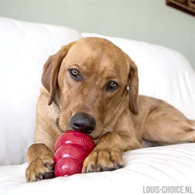Kong Snacks Bacon / Cheese-KONG-Louis Choice