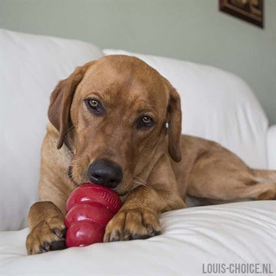 Kong Snacks Pindakaas-KONG-Louis Choice