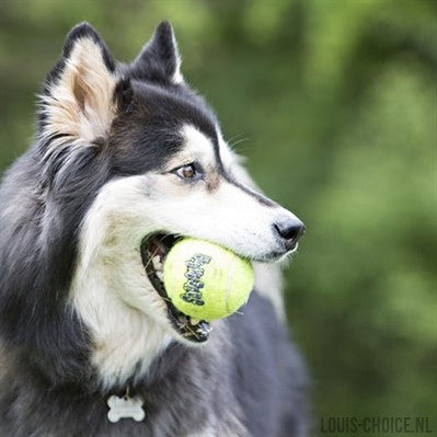 Kong Squeakair Tennisbal Geel Met Piep-KONG-Louis Choice
