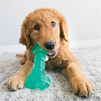 Kong Squeezz Dental Stick Mintgroen-KONG-Louis Choice