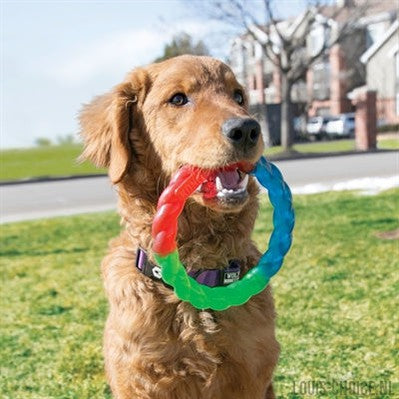 Kong Twistz Ring-KONG-Louis Choice
