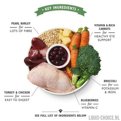 Lily's Kitchen Dog Chicken / Turkey Casserole-LILY'S KITCHEN-Louis Choice