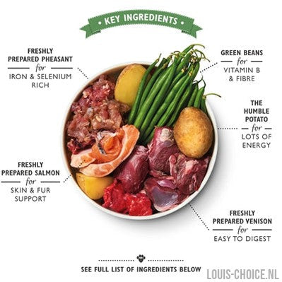 Lily's Kitchen Dog Wild Campfire Stew-LILY'S KITCHEN-Louis Choice