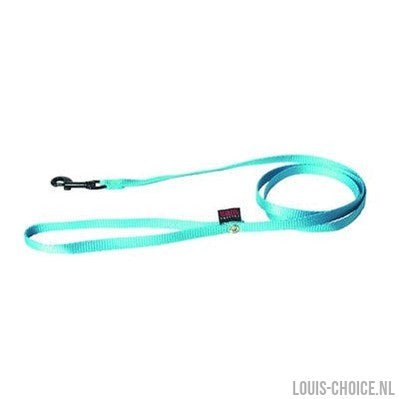 Martin Hondenriem Nylon Turquoise-MARTIN-Louis Choice
