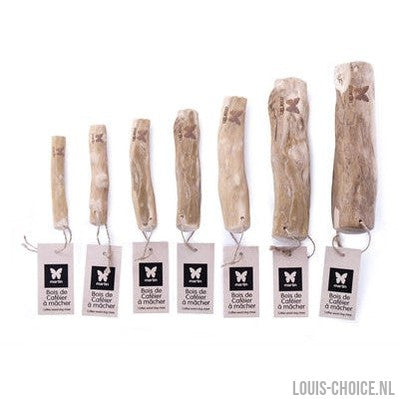 Martin Kauwwortel Koffiehout-MARTIN-Louis Choice