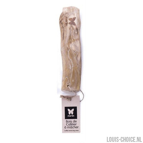 Martin Kauwwortel Koffiehout-MARTIN-Louis Choice