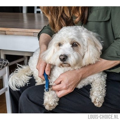 Mikki Doodle De-Matter-MIKKI-Louis Choice