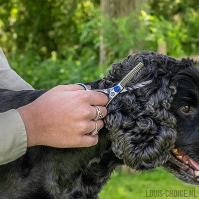 Mikki Doodle Effileerschaar Voor Kop En Poten-MIKKI-Louis Choice