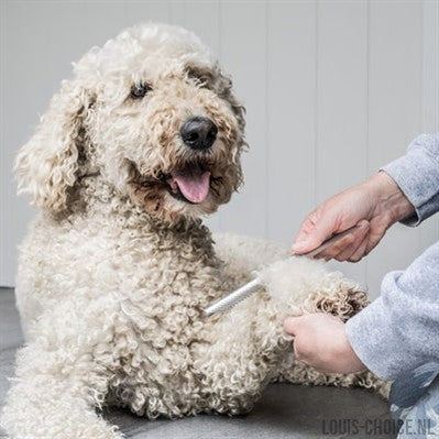 Mikki Doodle Grooming Kit Met Kam En Slickerborstel-MIKKI-Louis Choice
