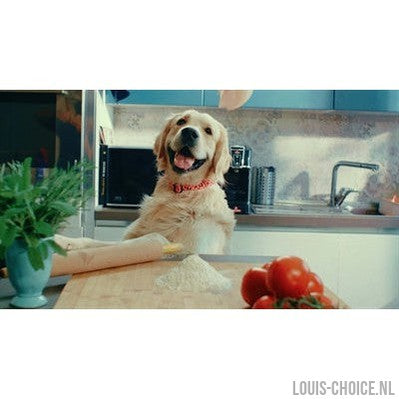 Morso Halsband Hond Gerecycled Bubble Leo Roze-MORSO-Louis Choice