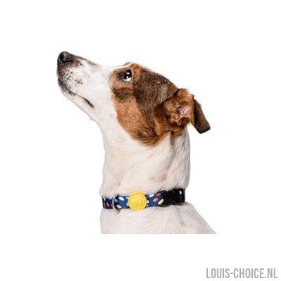 Morso Halsband Hond Gerecycled Color Invaders Paars-MORSO-Louis Choice