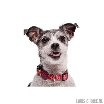 Morso Halsband Hond Gerecycled Pink Think Roze-MORSO-Louis Choice