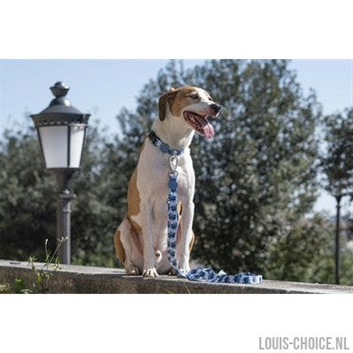 Morso Halsband Hond Gerecycled Splash Blauw-MORSO-Louis Choice