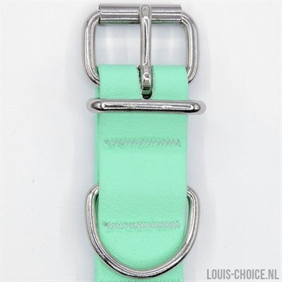 Morso Halsband Hond Waterproof Gerecycled Carribean Green Groen-MORSO-Louis Choice