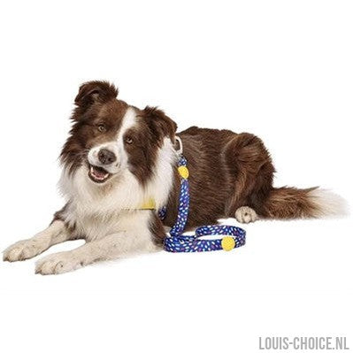 Morso Hondenriem Gerecycled Color Invaders Paars-MORSO-Louis Choice