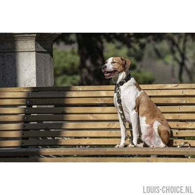 Morso Hondenriem Gerecycled Full Metal Dog Bruin-MORSO-Louis Choice