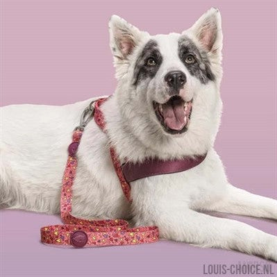 Morso Hondenriem Gerecycled Pink Think Roze-MORSO-Louis Choice