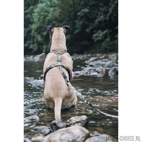 Morso Hondentuig H-Tuig Gerecycled Full Metal Dog Bruin-MORSO-Louis Choice