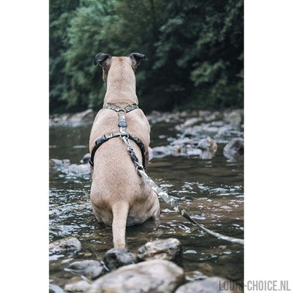 Morso Hondentuig H-Tuig Gerecycled Full Metal Dog Bruin-MORSO-Louis Choice