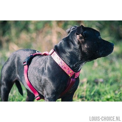 Morso Hondentuig H-Tuig Gerecycled Pink Think Roze-MORSO-Louis Choice