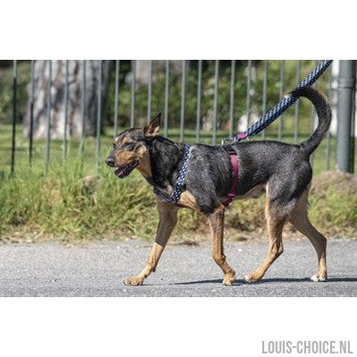 Morso Hondentuig H-Tuig Gerecycled Power Flow Zwart-MORSO-Louis Choice