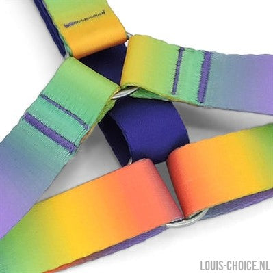 Morso Hondentuig H-Tuig Gerecycled Spring Blossom-MORSO-Louis Choice