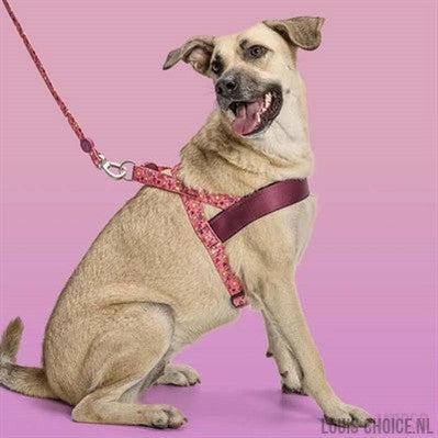 Morso Norwegian Hondentuig Gerecycled Pink Think Roze-MORSO-Louis Choice