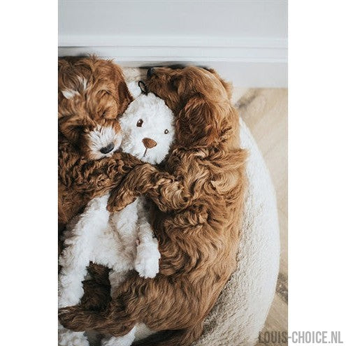 My Dog Beer Pluche Creme-MY DOG-Louis Choice