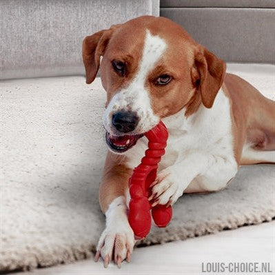 Nylabone Extreme Chew Lobster Filet Mignonsmaak-NYLABONE-Louis Choice