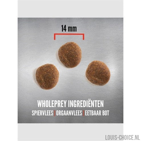 Orijen Whole Prey 6 Fish Dog-ORIJEN-Louis Choice