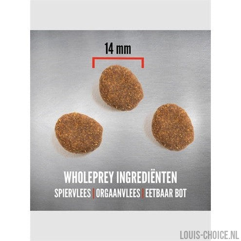 Orijen Whole Prey Regional Red Dog-ORIJEN-Louis Choice